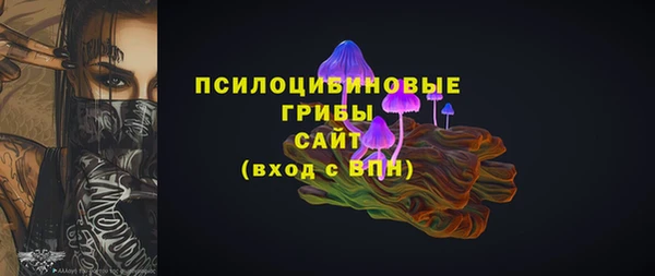 тгк Богданович