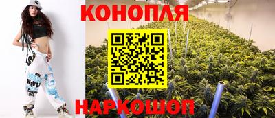 соль ск Гатчина