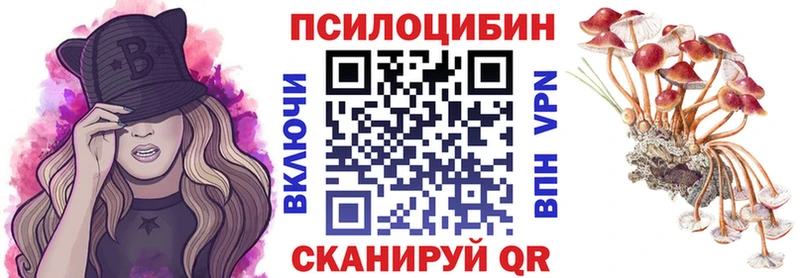 наркотики Избербаш Галлюциногенные грибы Psilocybine cubensis