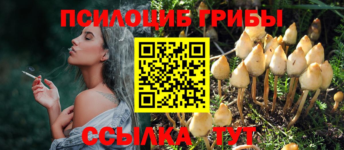 Галлюциногенные грибы GOLDEN TEACHER Избербаш