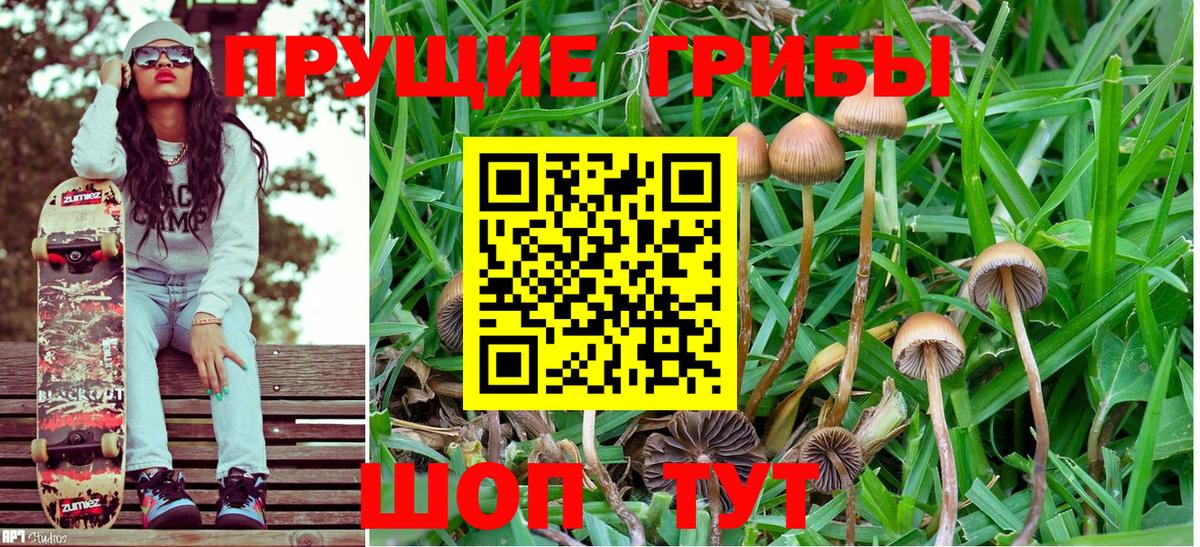 Псилоцибиновые грибы MAGIC MUSHROOMS Избербаш